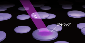 UV UVトラップ